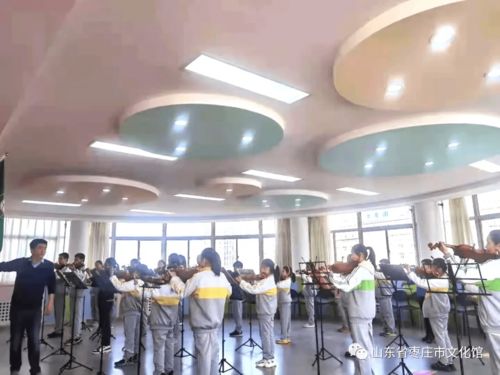 2021年度藝術(shù)進校園器樂輔導課程