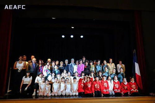 中法文化藝術(shù)交流協(xié)會(huì)迎春活動(dòng)暨pde國(guó)際舞蹈展演季新聞發(fā)布會(huì)