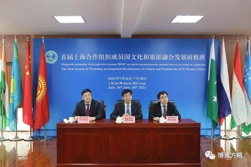 竇文章教授為首屆 上海合作組織成員國文化和旅游融合發展研修班 授課